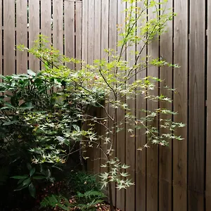 度假居 Third&place Kyoto_shijoomiya/四条大宮, 京都